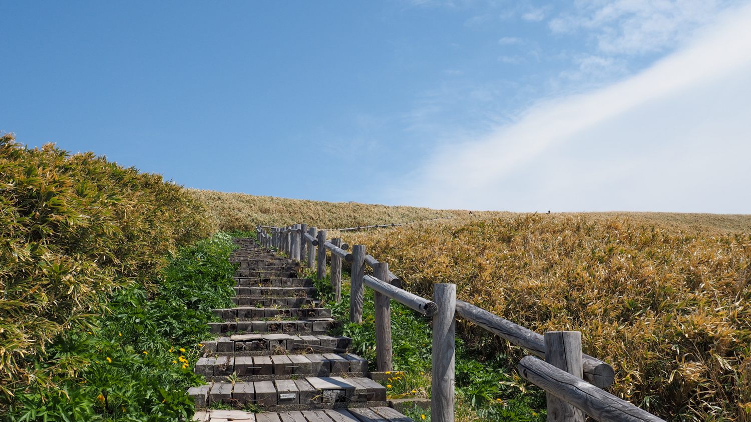 神威岬「展望広場」へ続く階段 / Stairs leading to Cape Kamui ”Observation Plaza”