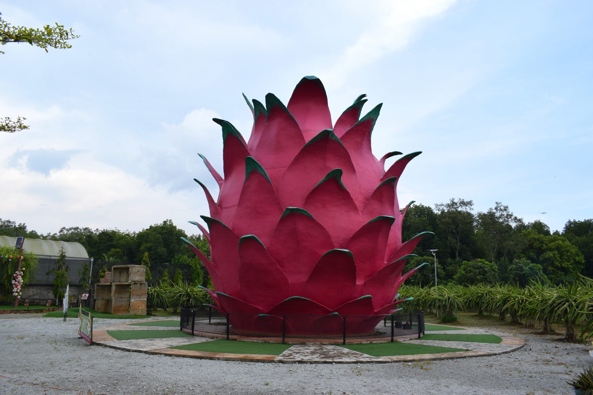 マレーシア最大のドラゴンフルーツオブジェ
