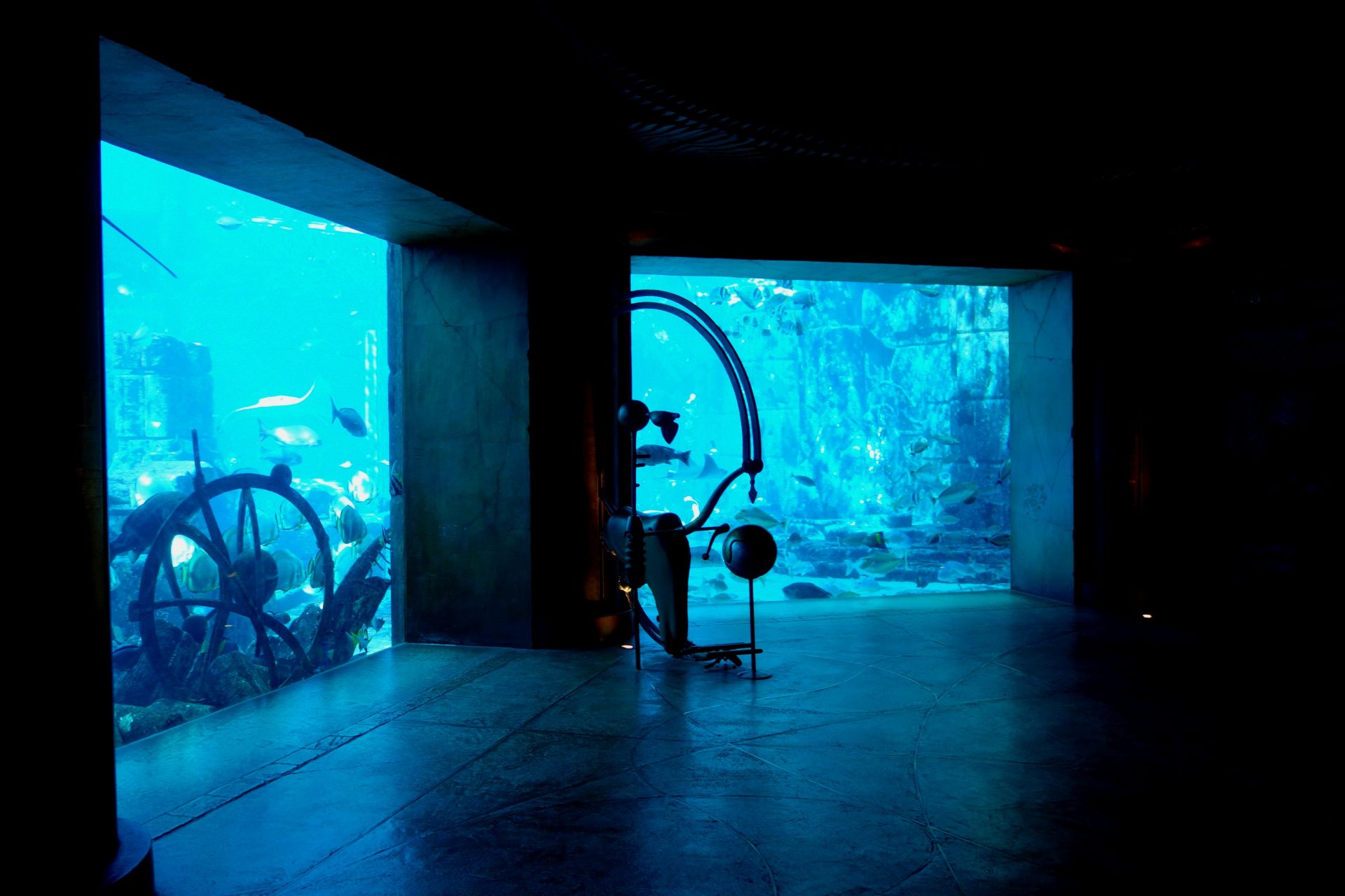 海底に沈んだ古代都市をイメージした「ザ・ロスト・チェンバーズ水族館」。