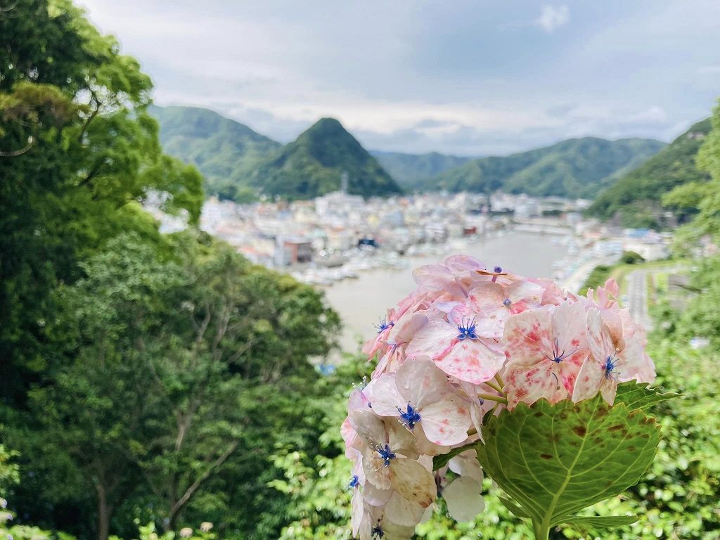 多少疲れてきましたがこの見晴らし