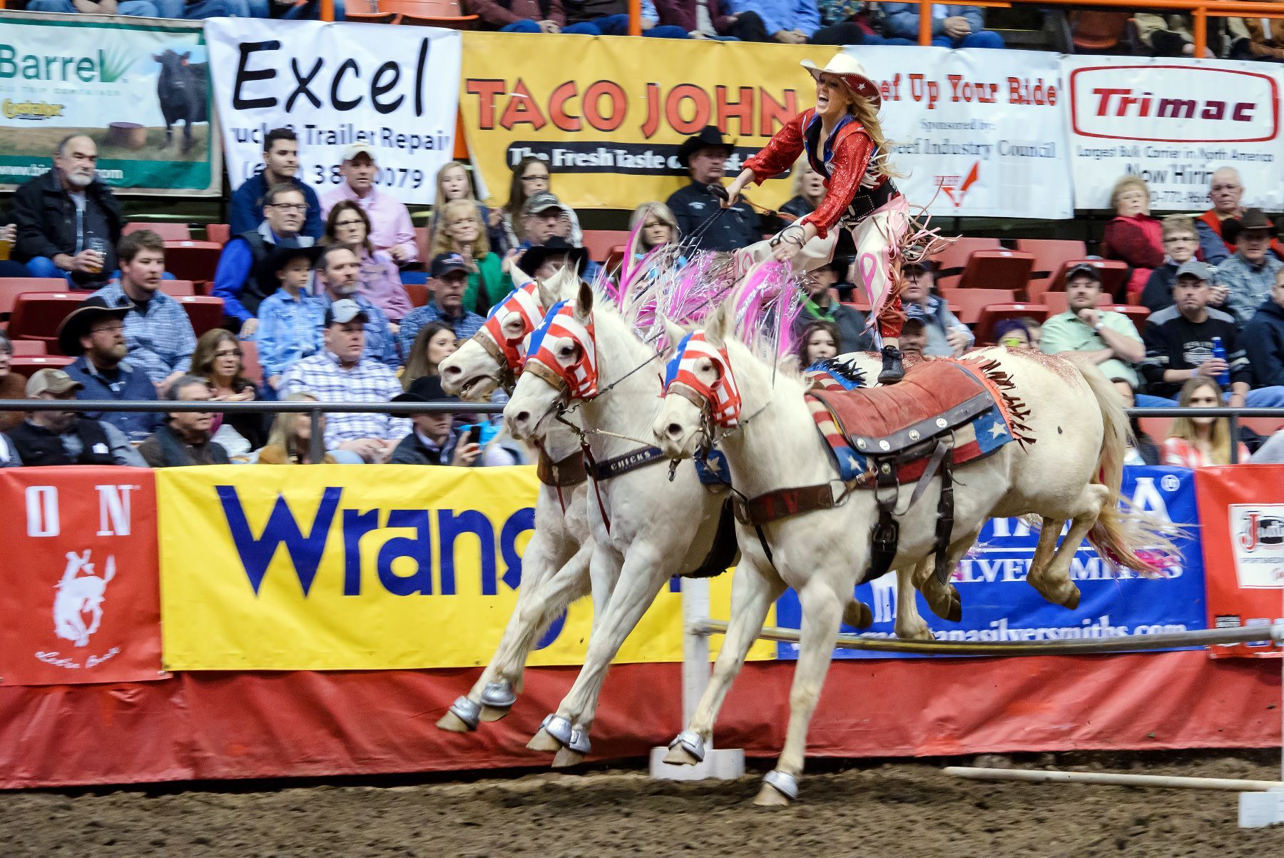 迫力ある馬のショーやロデオが次々と繰り広げられ、会場も大盛り上がり ©Travel South Dakota