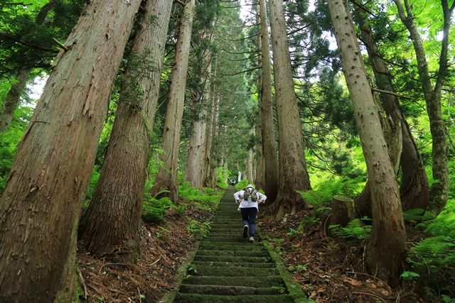 ふくしま緑の百景の一つでもある杉並木の石段を上ります。