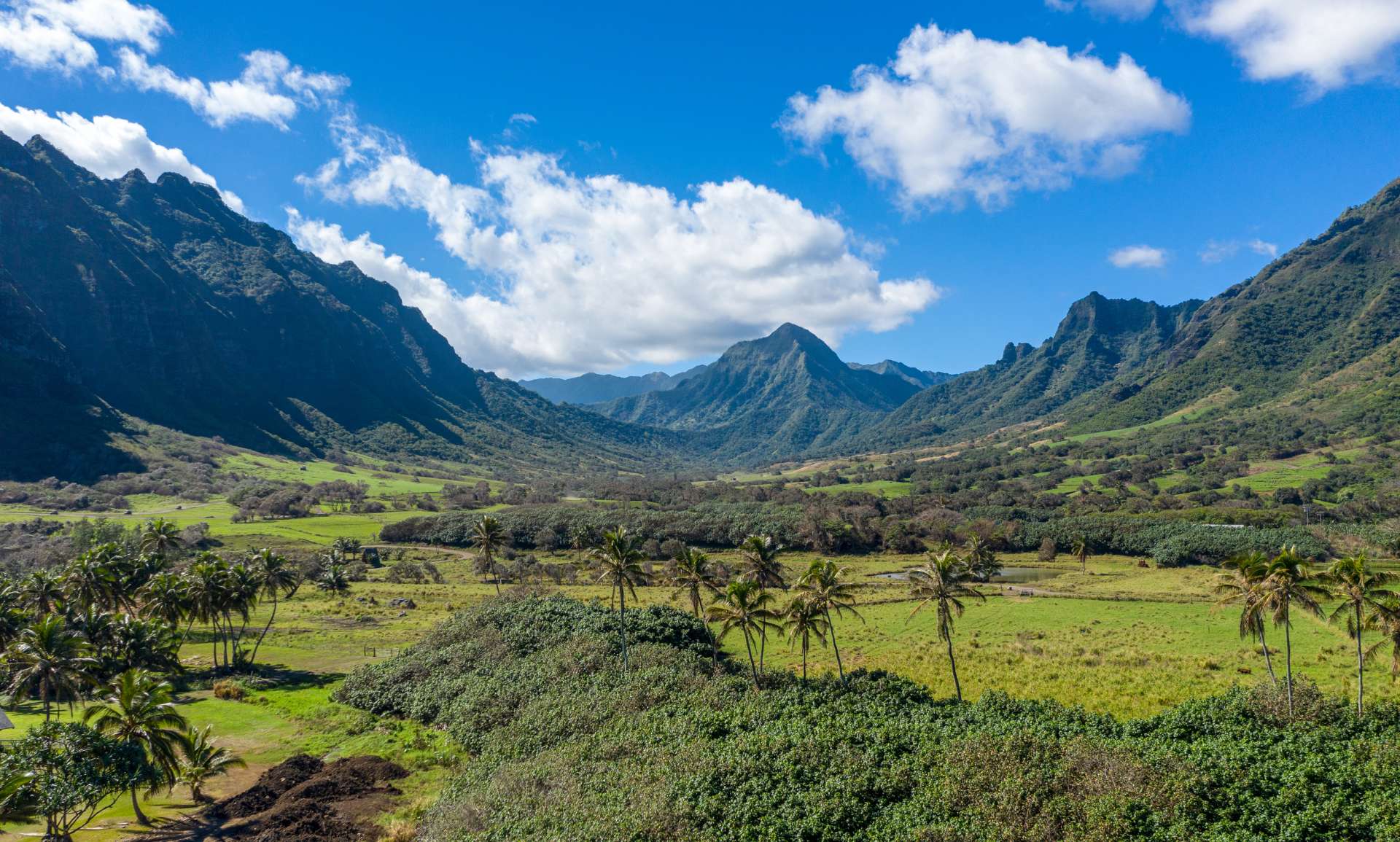 コスタリカの設定で撮られたハワイのオアフ島のクアロア・ランチ