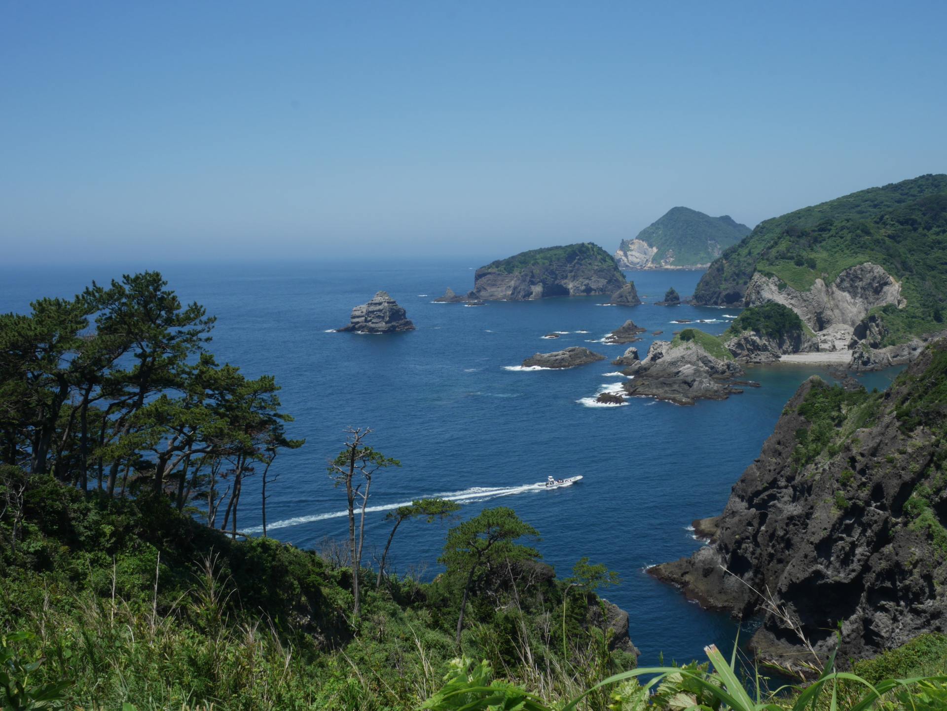 タイミングによってはヒリゾ浜への渡船も見えます。