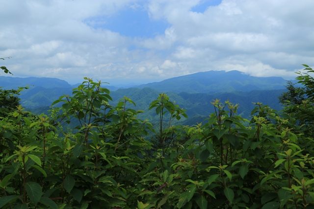 眺望が開けているのは、博士山方向となります。