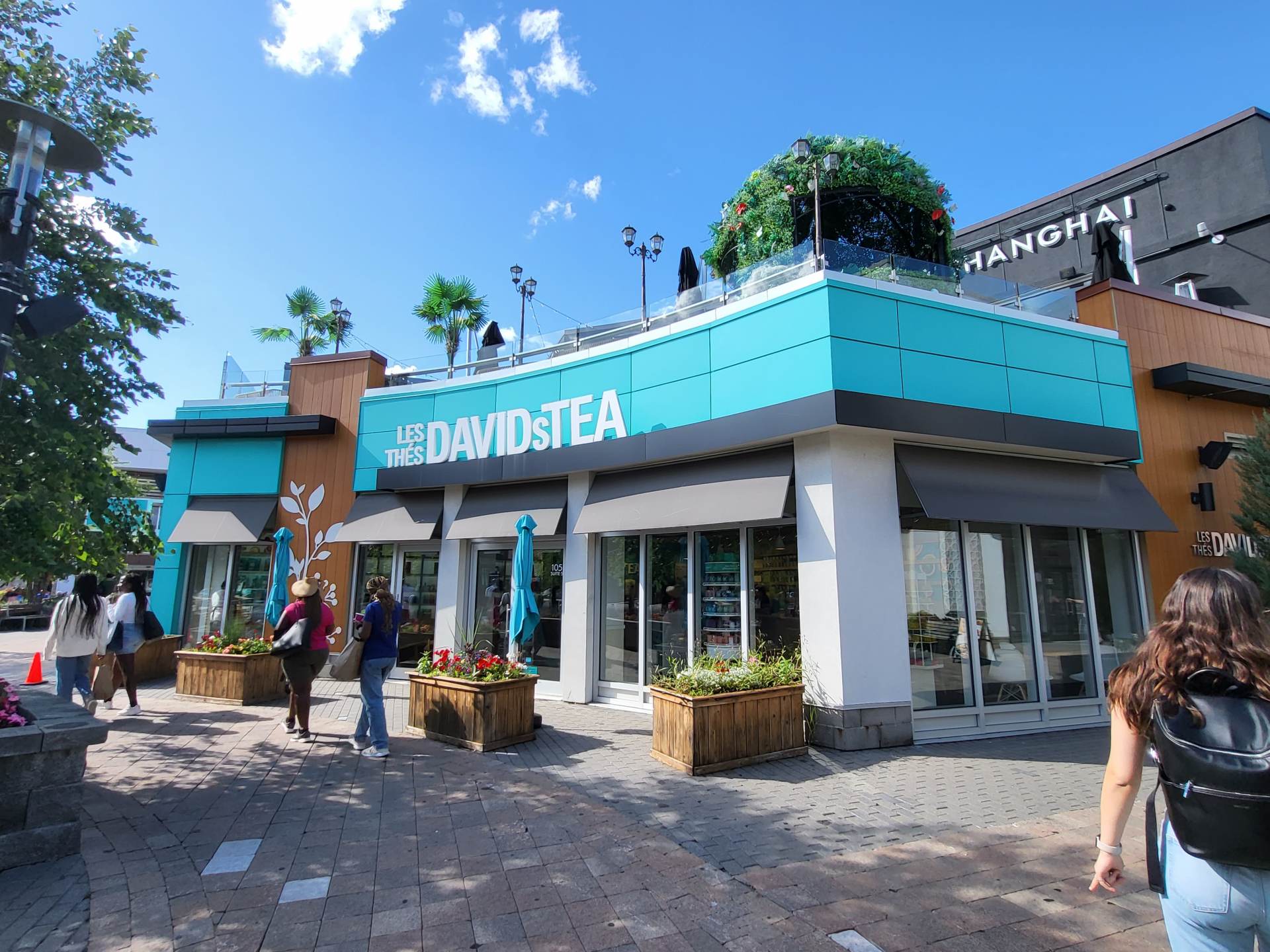 カナダからのお土産で大人気!「DAVID & TEA」