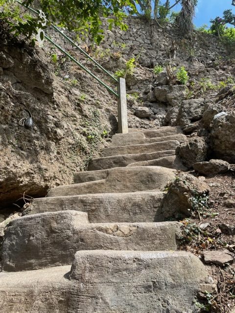 途中、野生のお猿さんの群れと何度も遭遇します。

こちらの階段の写真は、帰り道に撮影。下からのアングルです。

行く迄の路は、舗装されていますので、ワイルドと言っても「砂利道ではない」ので、滑らなければ特に問題はないでしょう。

息切れしながら、下まで楽しく進んでいきましょう笑