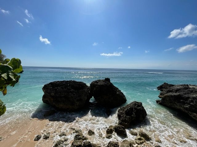 さらに先に歩いて行き、大きな岩盤の上によじ登って行きました。そこからの景色です。海風が最高に気持ち良いです。