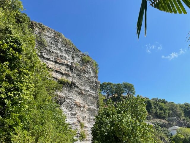 この辺りでは、剥き出しの石灰岩の岩壁(地層)を見ることが出来ます。タモ(タモリ)さんがいらっしゃったら、喜びそうですね笑