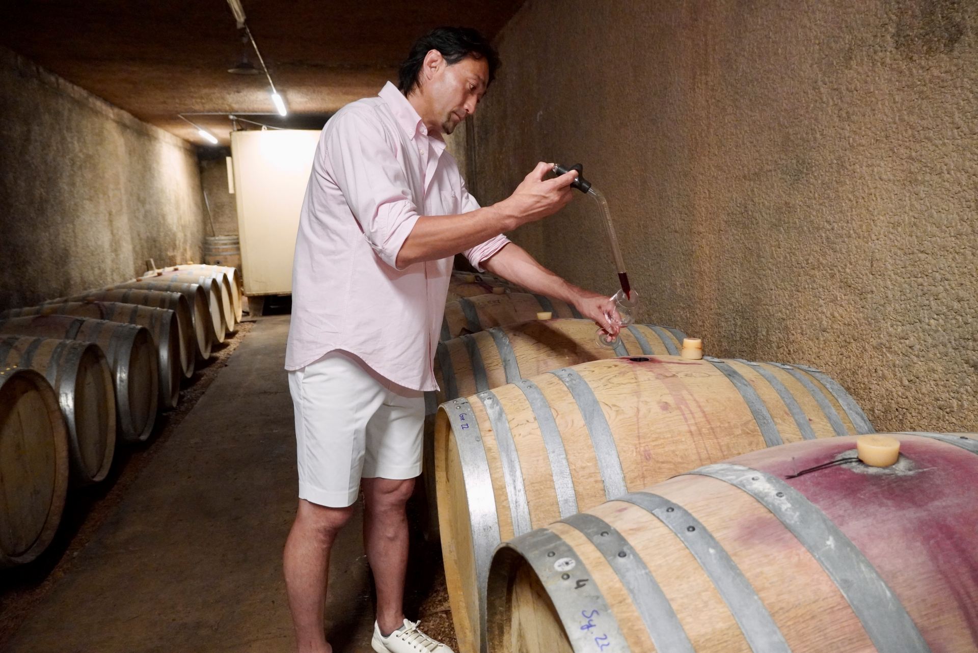 一部のワインは複雑味を加えるため地下の樽で熟成させる