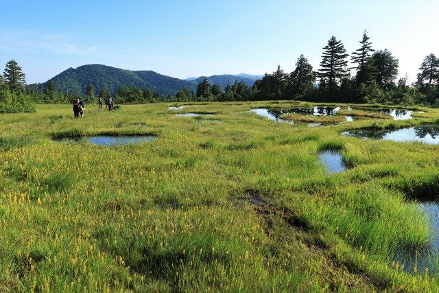最初の湿原である広沢田代です。
空を映す池塘がとても美しいスポットです。
