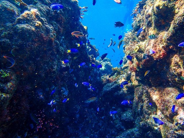 【静岡・南伊豆】まだまだ夏（海）です