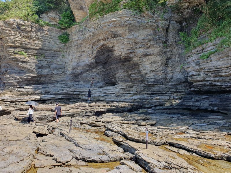 長い期間かけてできた堆積地形が波の侵食作用によって形成された海食崖
