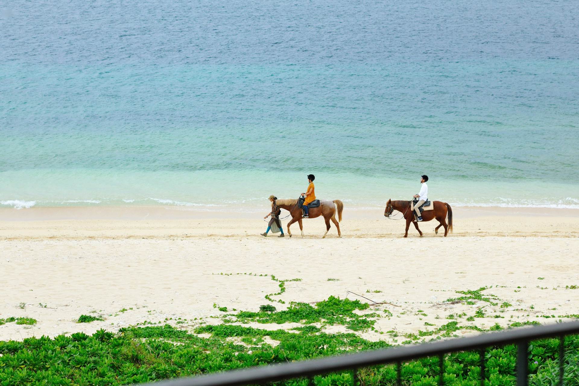 海岸線での乗馬は目線が高くなり、開放感も抜群です