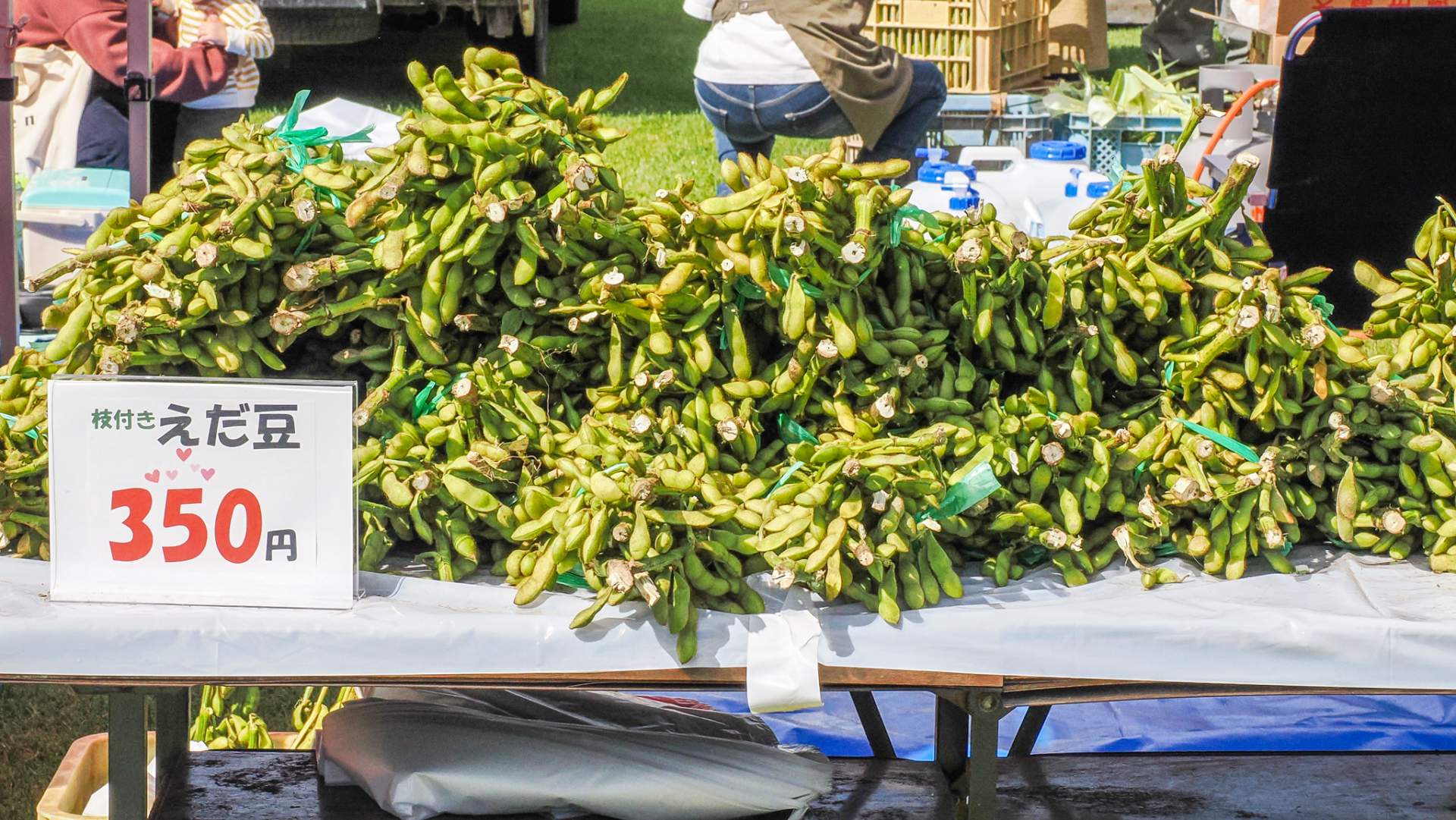 Green soybeans from Urahoro Town at the farmer's market of the Harvest Festival in Urahoro Town