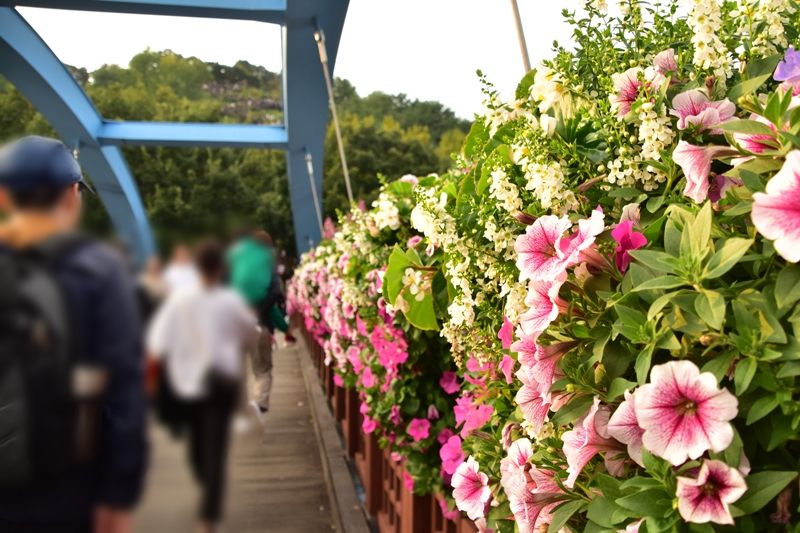 ハヌル公園へ向かう橋