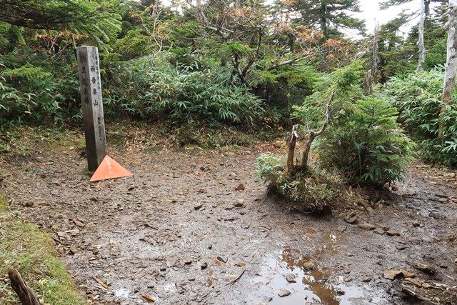 西吾妻山の山頂は樹木に覆われ、遠望はありません。