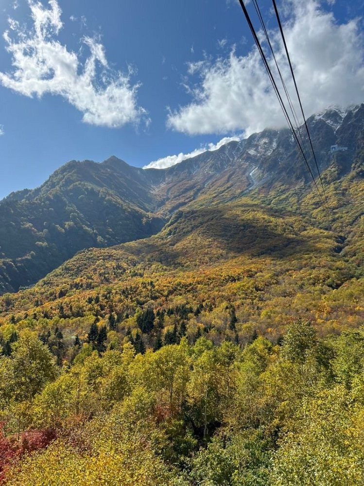 黒部湖と大観峰を繫ぐロープウェイから紅葉が始まった美しいタンボ平を眺める