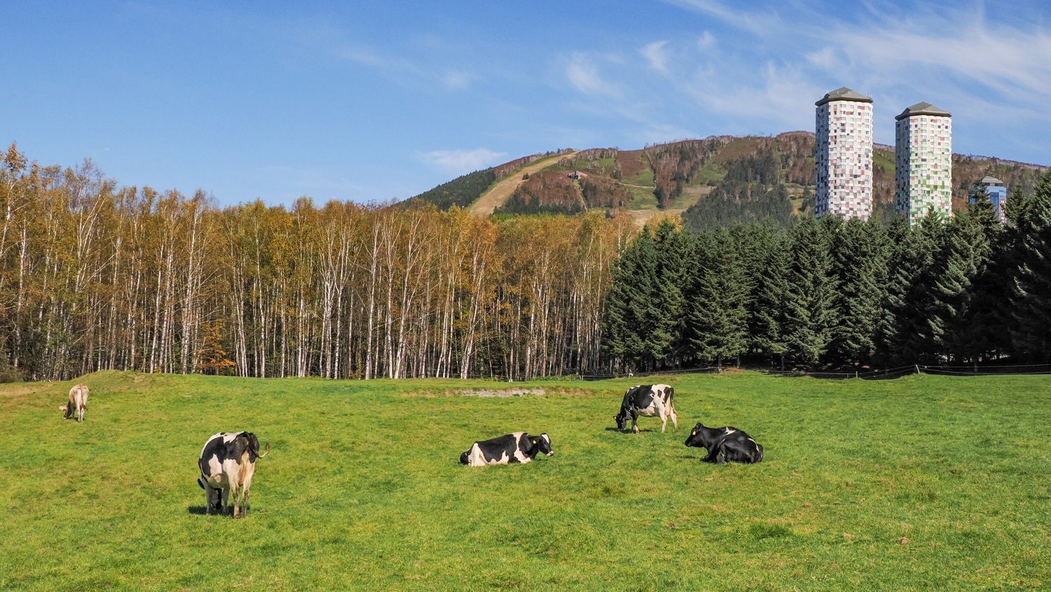 Farm Hoshino at Hoshino Resorts TOMAMU in Shimukappu Village, Hokkaido