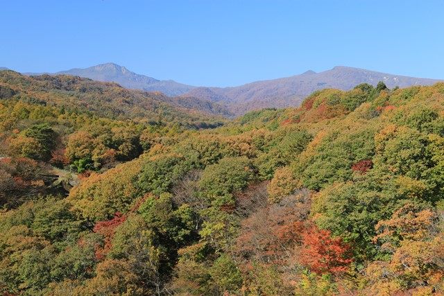 色付きを増した渓谷の紅葉と甲子旭&鎌房山のコラボが美しいです。