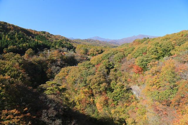 雪割橋の中央付近より上流側の様子です。