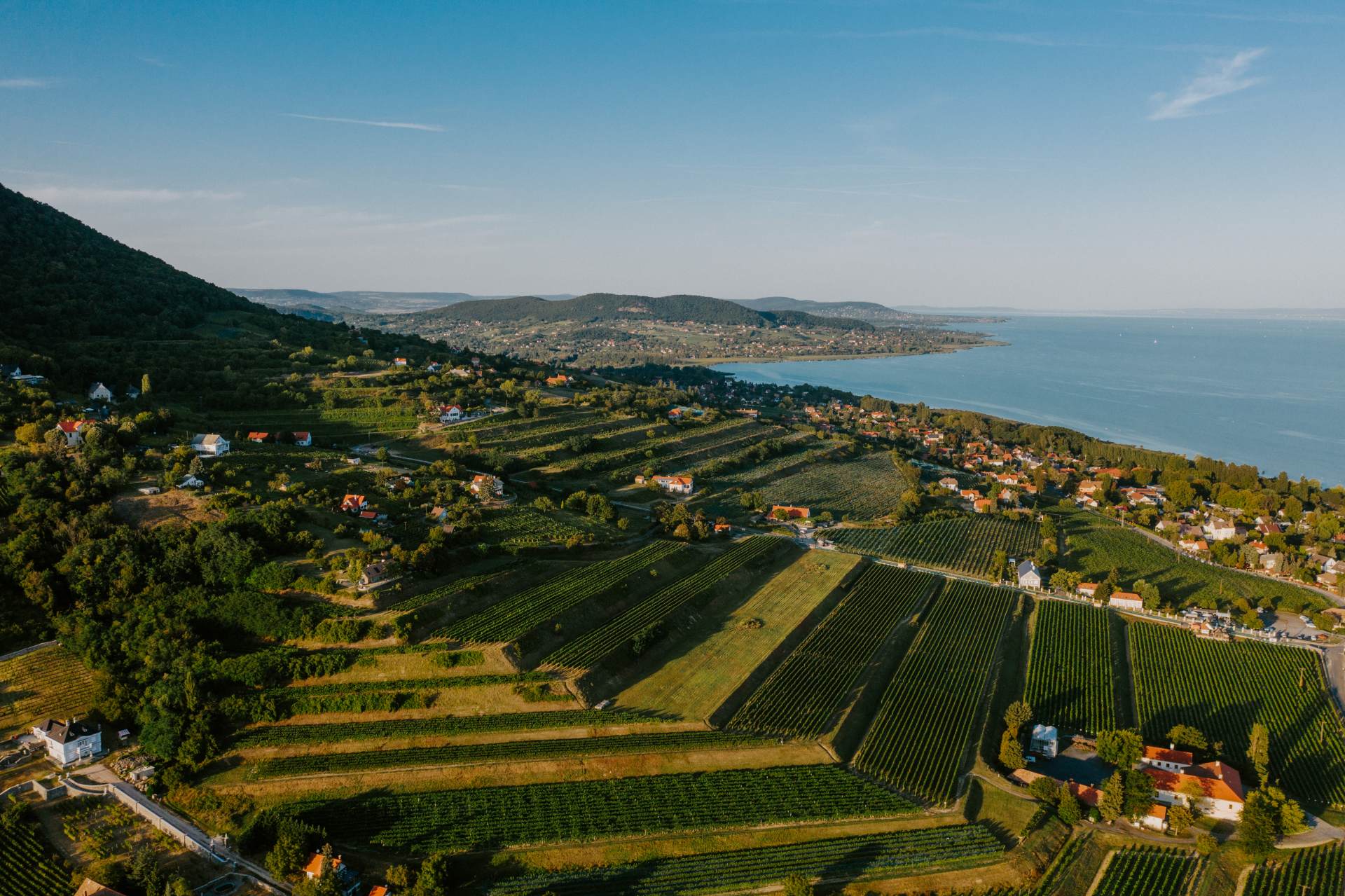 ブドウ畑は陽光を存分に浴びる湖北岸の南斜面に立地　©ハンガリー観光庁