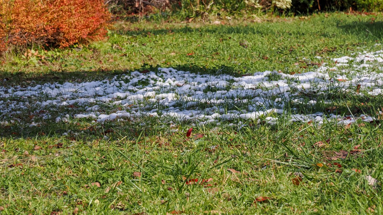 Snow remaining in the shade of the tree