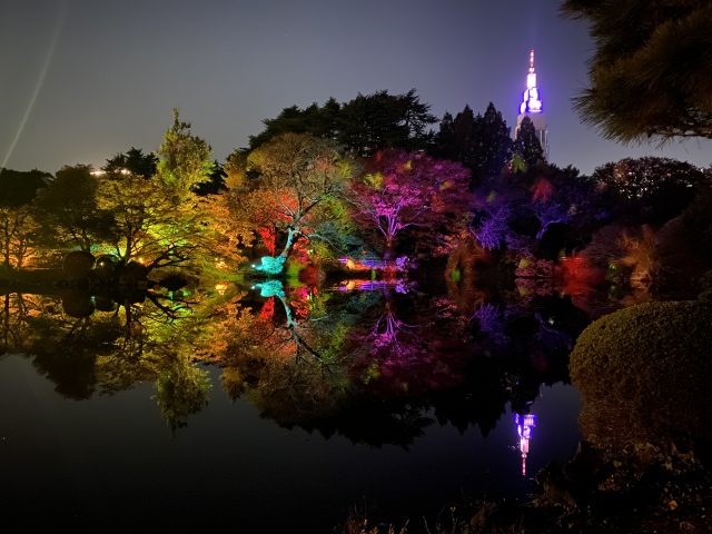 【東京】NAKED紅葉の新宿御苑2023