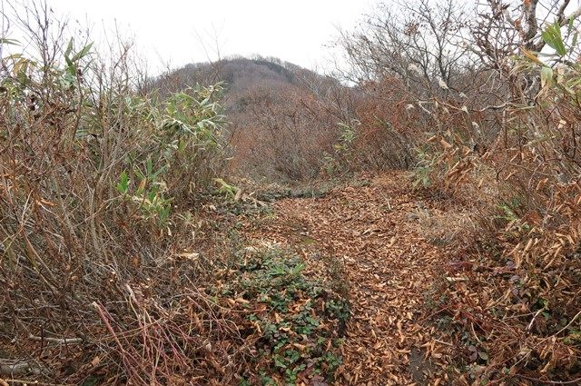 稜線上の小ピークである社峰の頂へ至ると、奥に博士山の山頂部が見えます。
ここはかつて、伊佐須美神社があった場所とのことです。