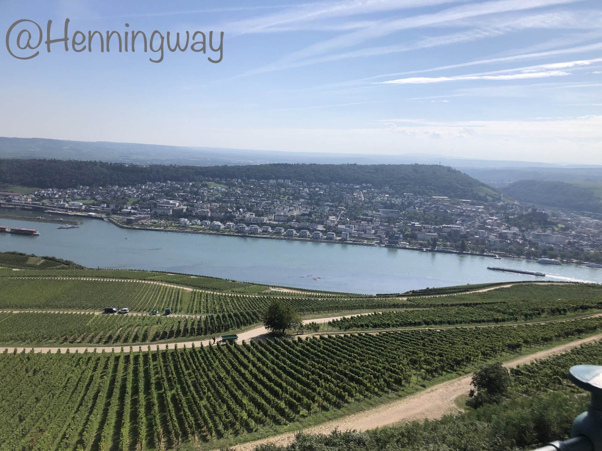 ラインガウ地域（Rheingau）リューデスハイム（Rüdesheim）のワイン畑とライン川