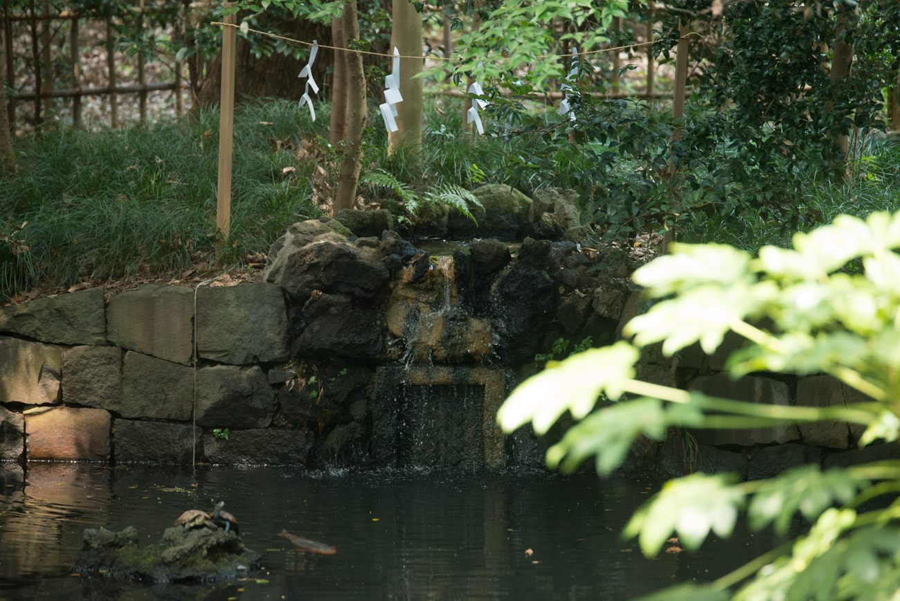 境内の神池へと注ぐ清水が湧き出る「蛇の池」