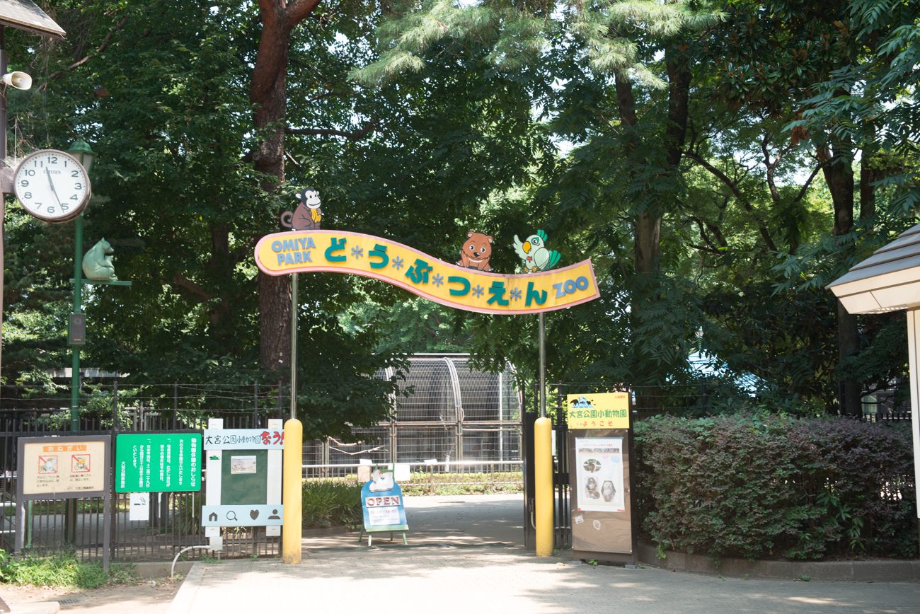 サルやクマ、フラミンゴなどさまざまな動物が見られる小動物園