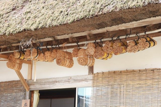 丸めて吊るされている萱は、蜂のための巣として設けられているそうです。