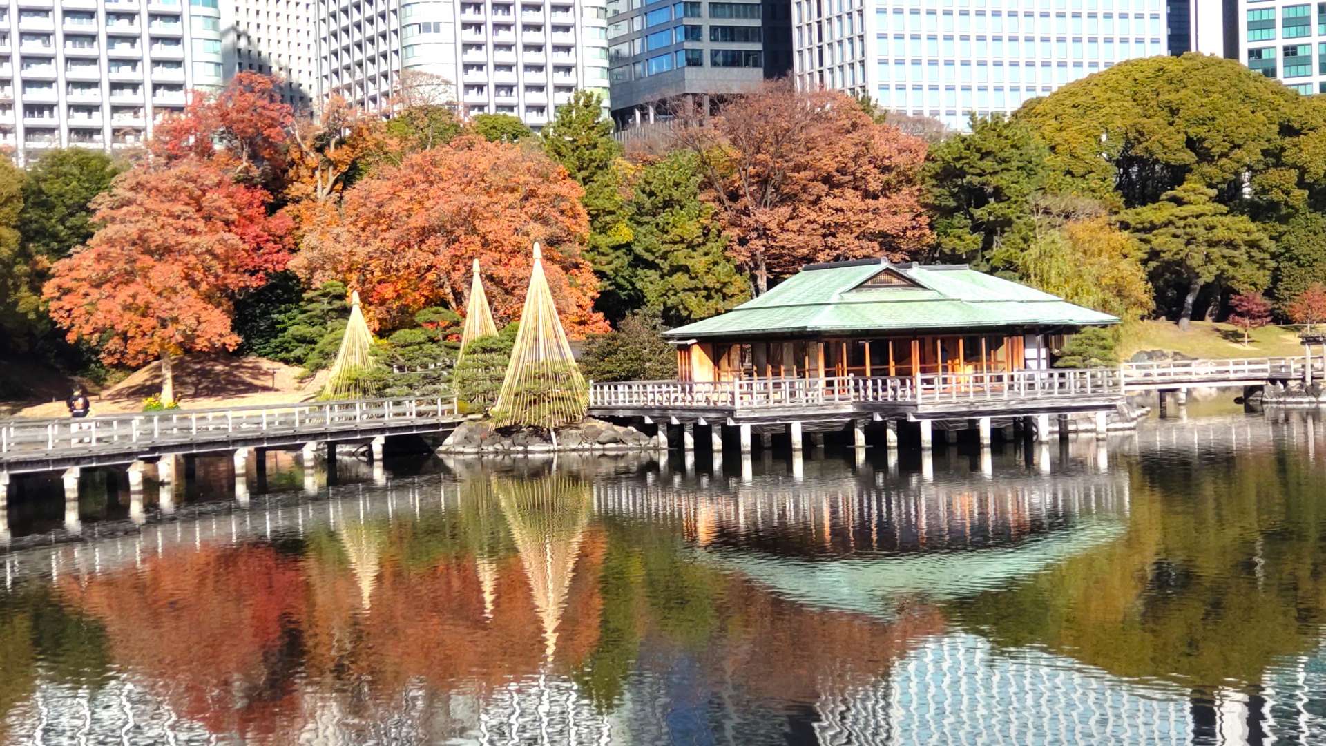 庭園外の山や森林だけでなく、東京では高層ビルを景色として取り入れる「借景」も魅力的です