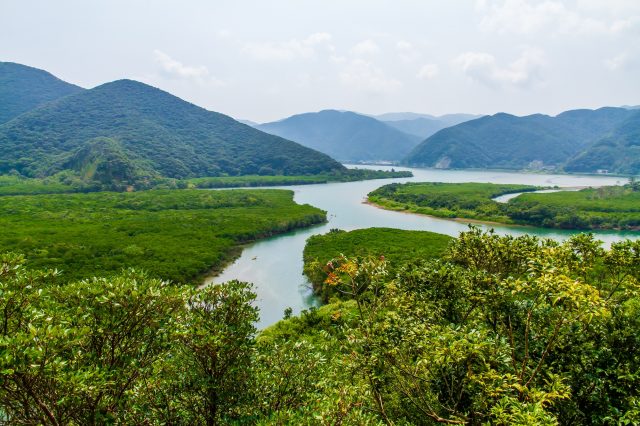 世界自然遺産　奄美大島の魅力をめいっぱい楽しむ方法