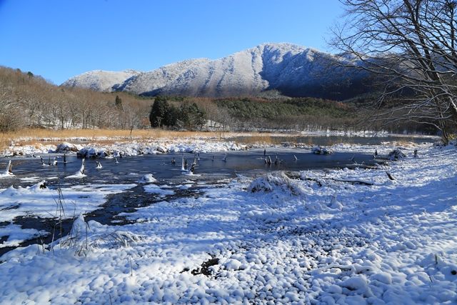 [三倉山湿原](https://www.arukikata.co.jp/web/article/item/3004380/)を後にし、すぐ近くにある[観音沼](https://shimogo.jp/sightseeing/kannonnumashinrinkoen/)の様子をうかがいました。
今回は、西岸付近の一部を散策します。