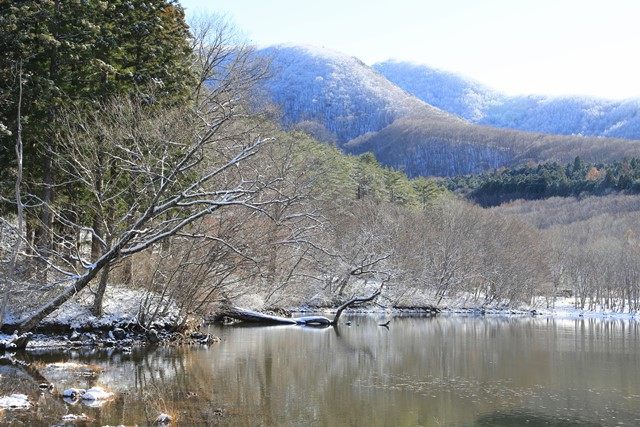 紅葉期の華やかさとは対極的な趣があります。