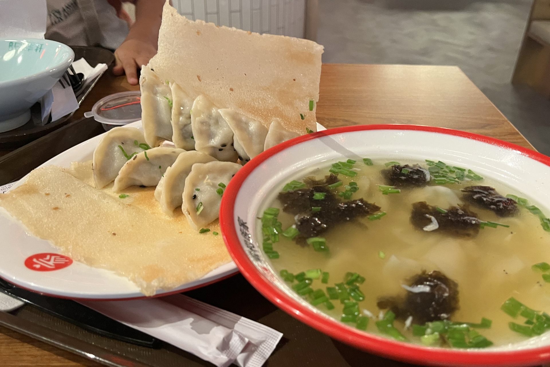 Fried Dumpling & Wonton Set AED28