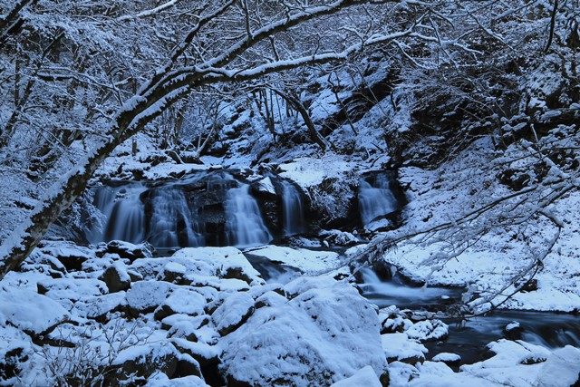 鮫川村にある[江竜田の滝](https://www.vill.samegawa.fukushima.jp/page/page000110.html)へ行って来ました。
久慈川支流の渡瀬川と大戸中川から成る渓谷に複数の滝が連なっており、その総称となります。
今回は、降雪直後の様子を伺いました。