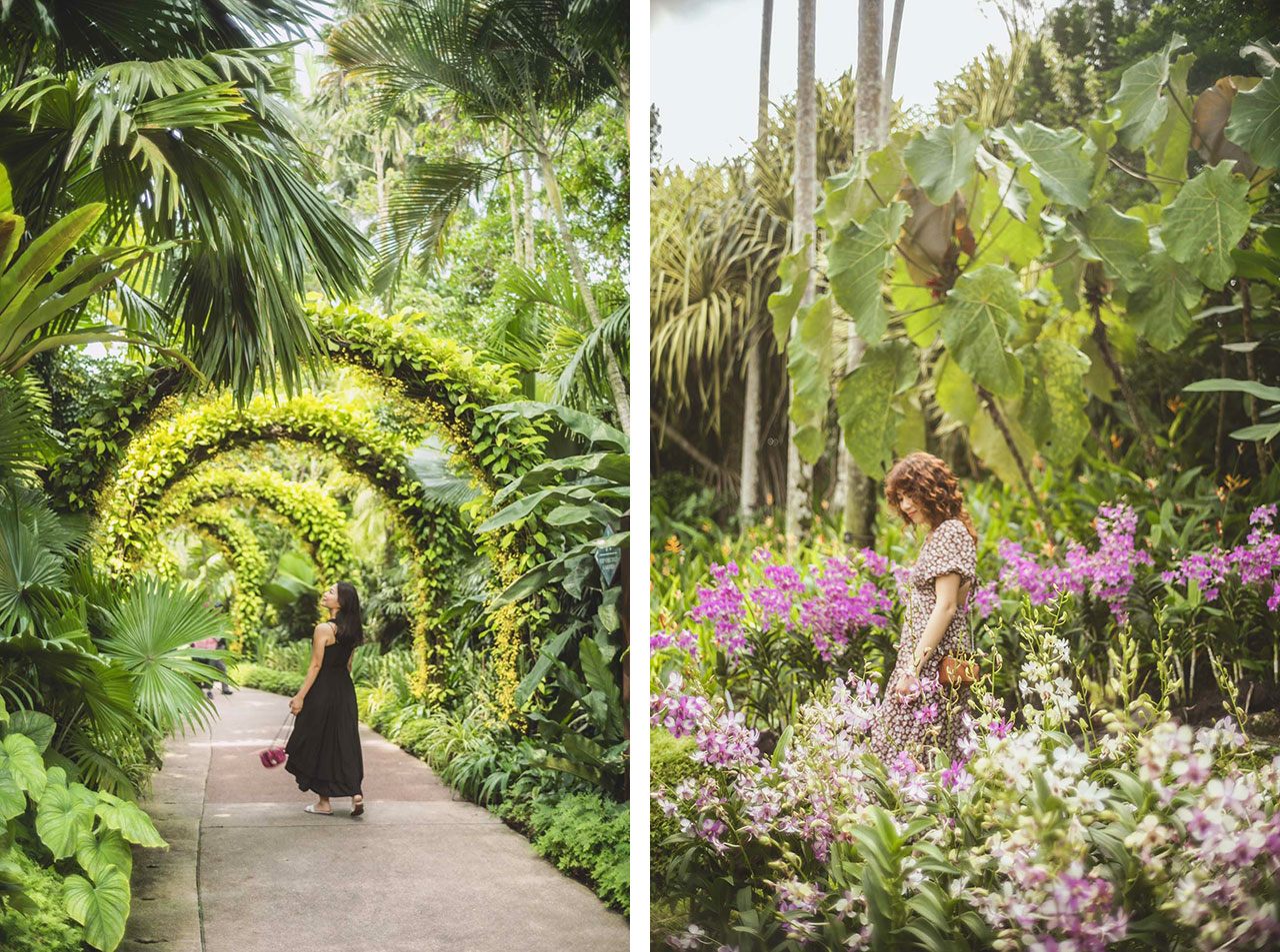 黄色の小花オンシジウムのトンネルや、色とりどりのデンファレの小道で写真を楽しむ二人