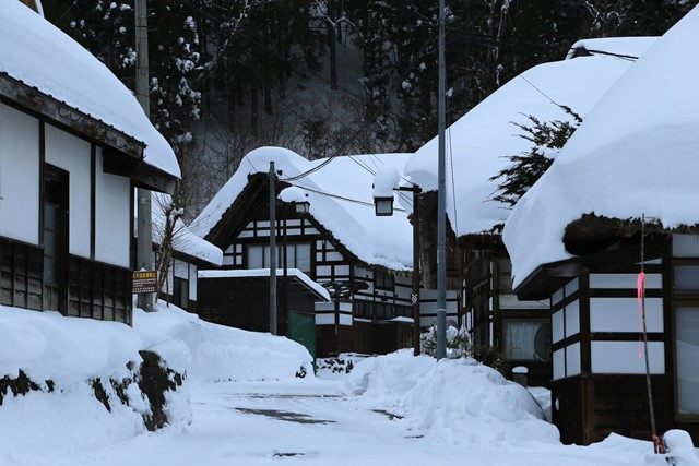 雪がとても似合っています。