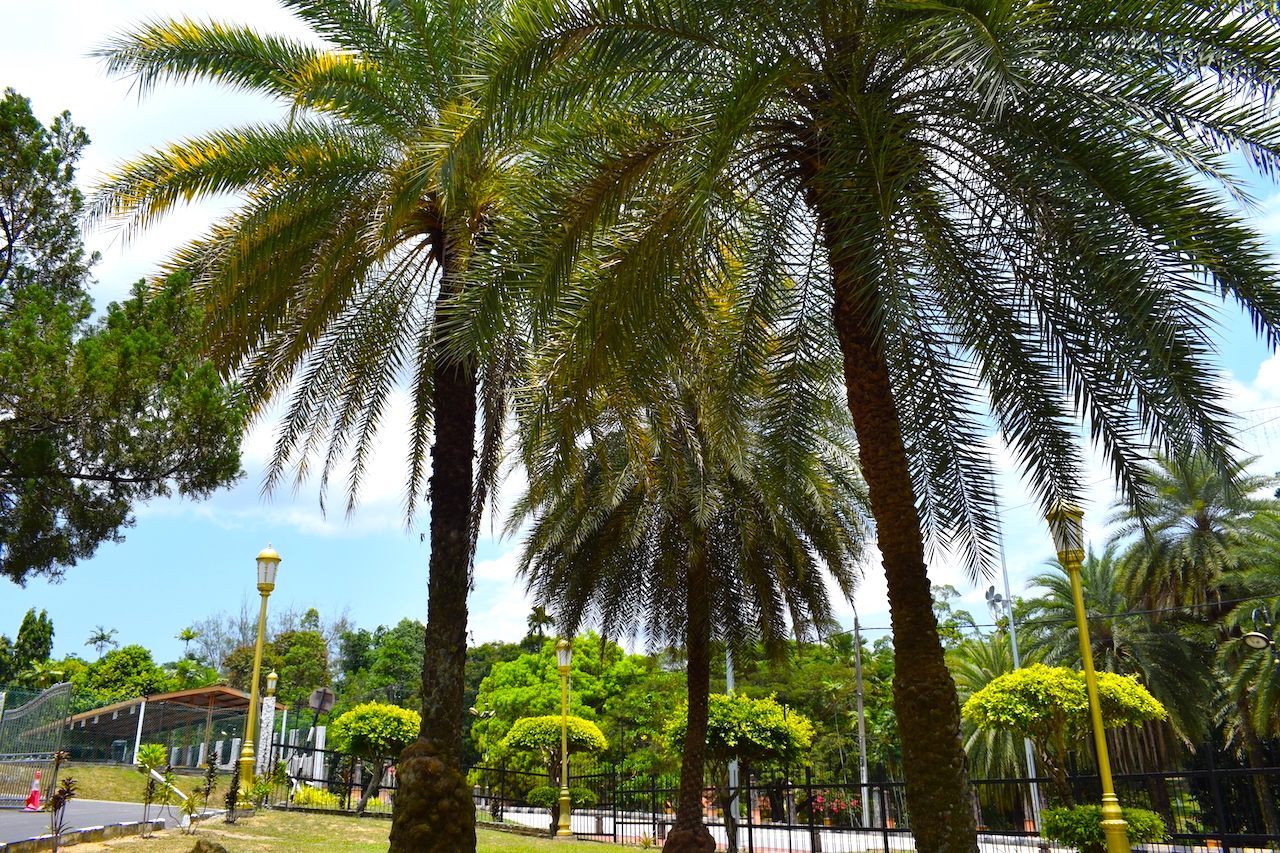 道路をはさんで反対側にある公園