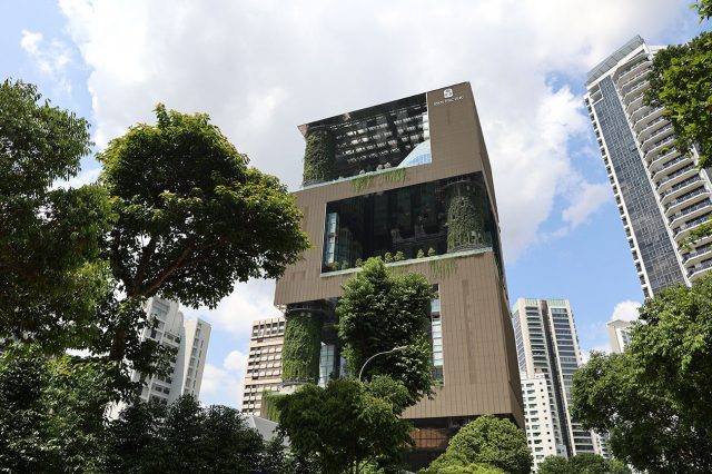 近代建築と自然が融合！　シンガポールを象徴する最新ホテル「パン パシフィック オーチャード」