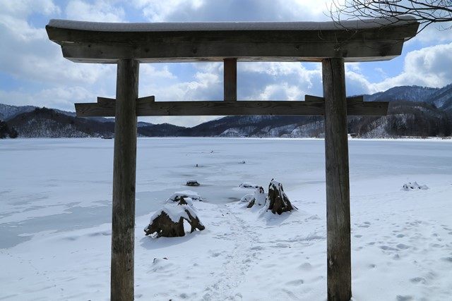 完全結氷とはならなかった今年の湖水面は高く、奥の鳥居は湖面上に出ていませんでした。
それでも、参道脇に植えられていた木々の様子が伺えます。