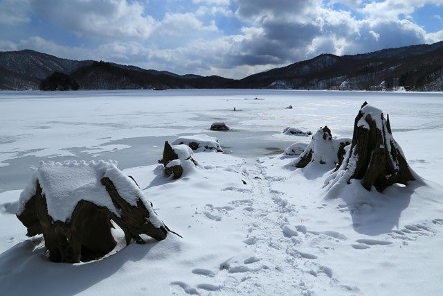 幻の参道を歩けるところまで歩いてみます。