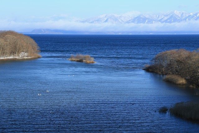 猪苗代湖南部にある[鬼沼](https://www.kanko-koriyama.gr.jp/tourism/detail1-0-13.html)へ行って来ました。
「入り江」とも「ワンド」とも称される沼で、水深は僅か1mほど。
弘法大師に因む伝説を持ち、古くから民話等が語り継がれています。