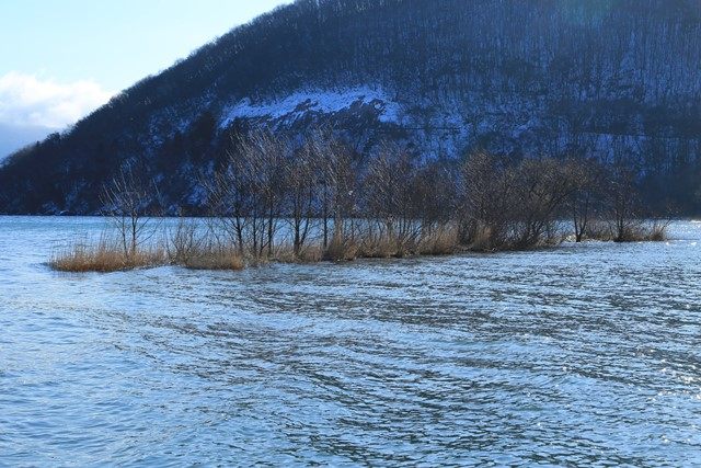 渇水期は陸続きとなる緑地帯も、今は離れ小島と化しています。