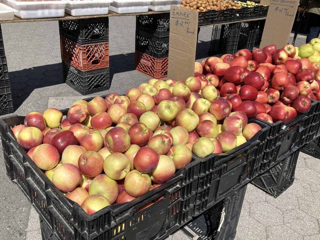 秋〜冬のニューヨークでは、りんごが収穫される