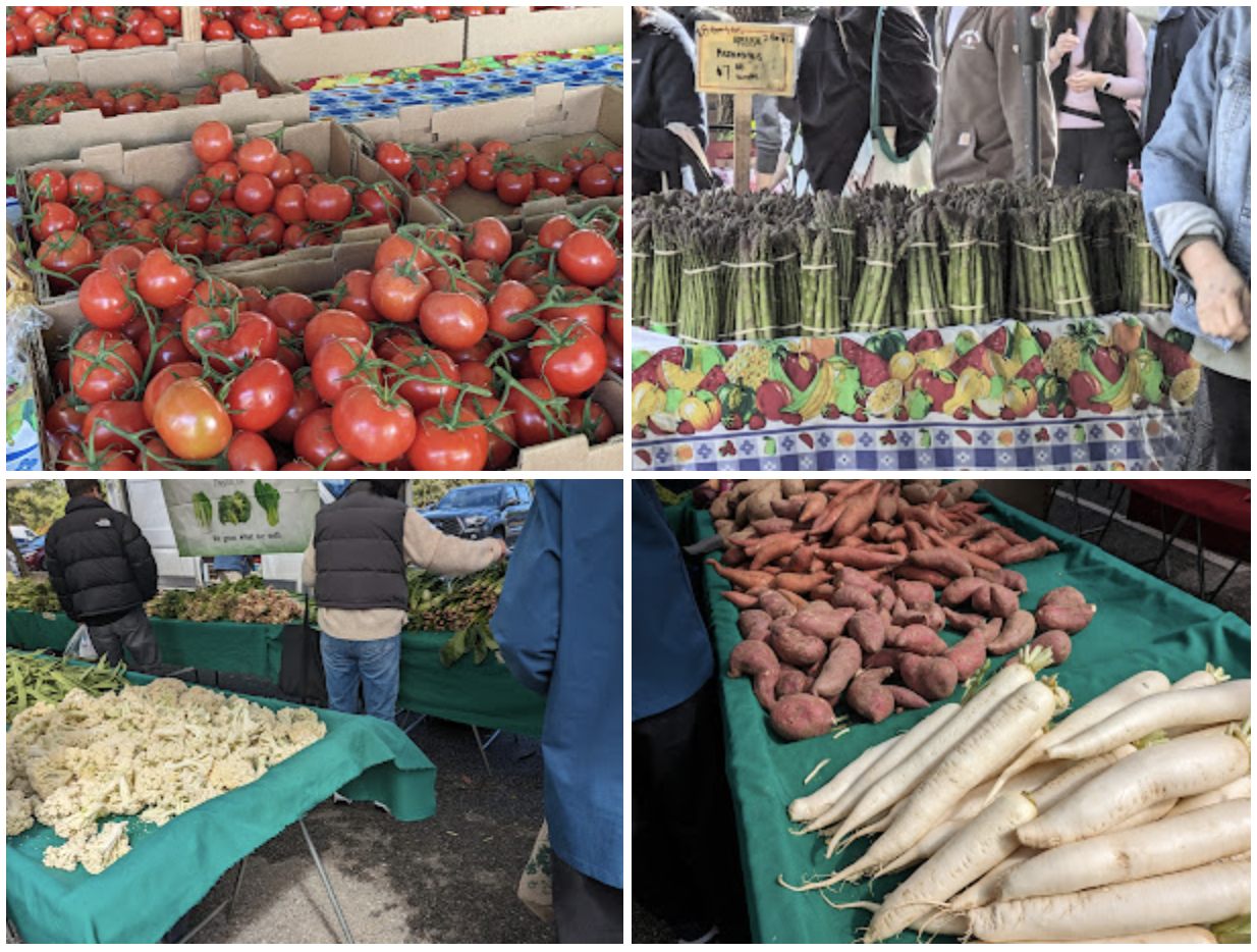 定番野菜や旬の野菜、アジア系の野菜等、いろいろな野菜が店頭に並びます