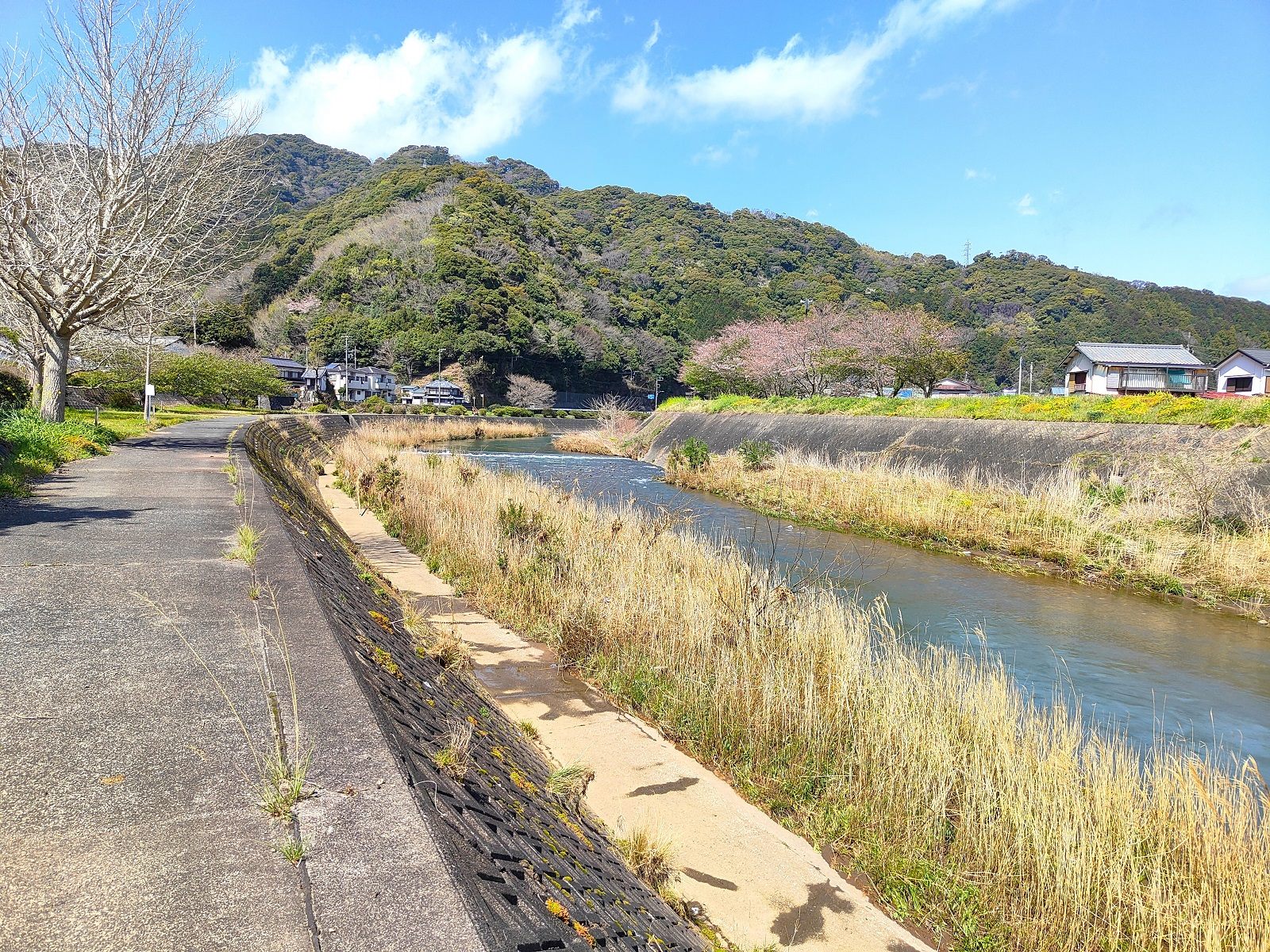 川沿いは散歩コースにもなっています。